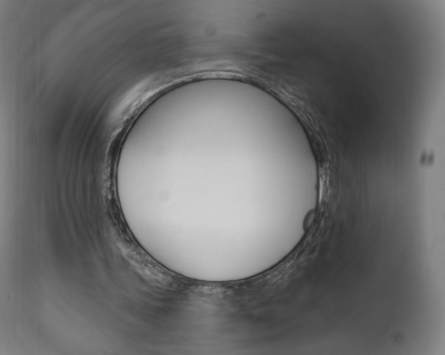 X0000112100339200908041117