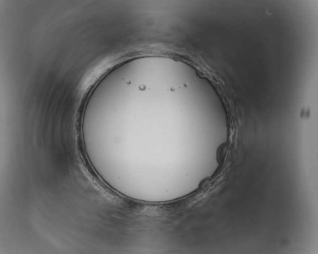 X0000112100341200908041118