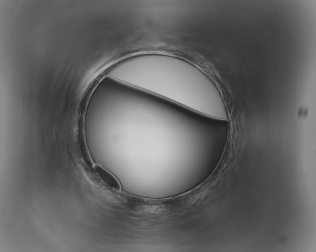 X0000112100344200908041118