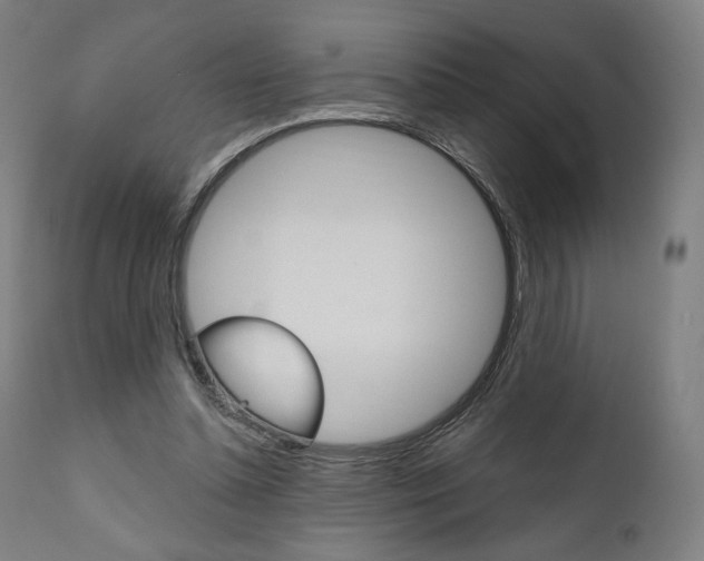 X0000112100348200908041118