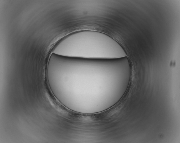 X0000112100349200908041118