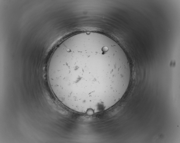 X0000112100351200908041118