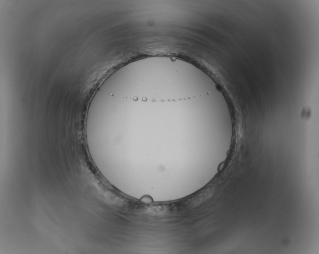 X0000112100353200908041118