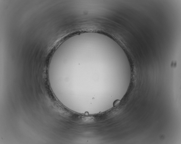 X0000112100355200908041118