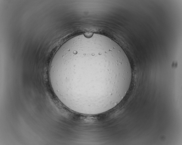 X0000112100359200908041118