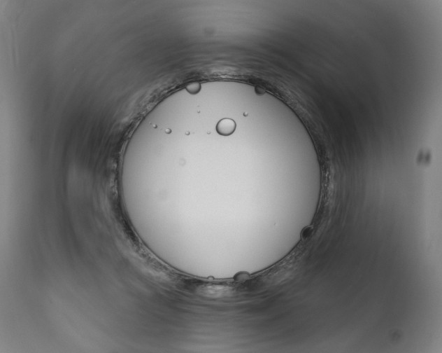 X0000112100361200908041118