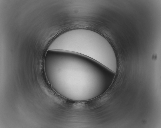 X0000112100362200908041118