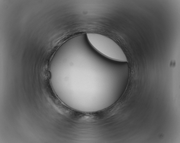 X0000112100364200908041118