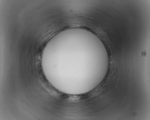 X0000112100369200908041118