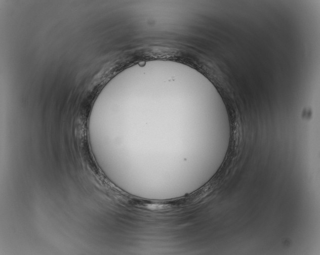 X0000112100371200908041118