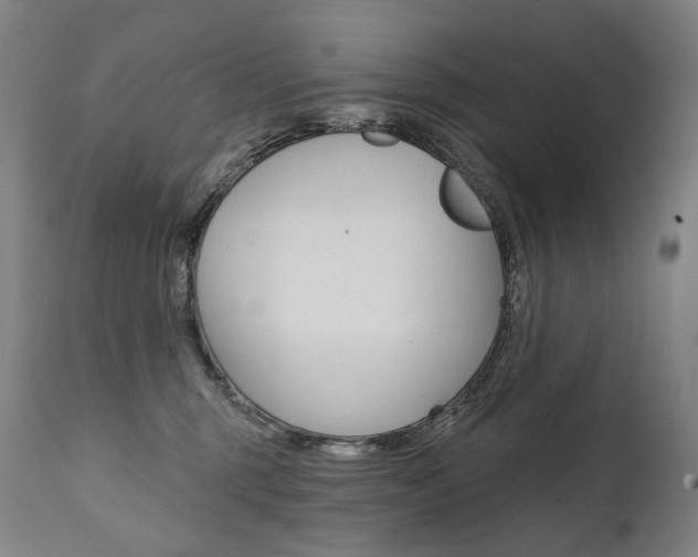 X0000112100375200908041118