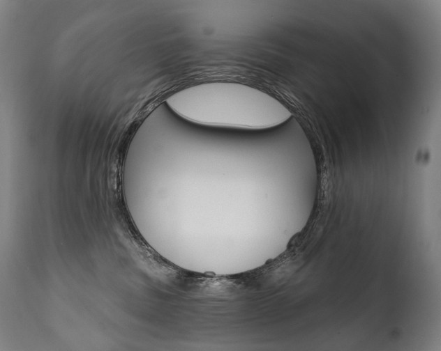 X0000112100379200908041118