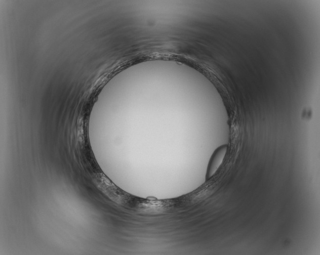 X0000112100381200908041118