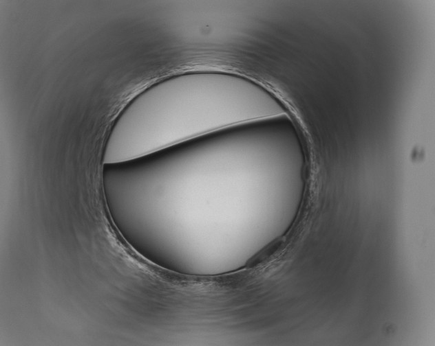X0000112100385200908041117