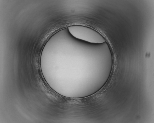 X0000112100386200908041117