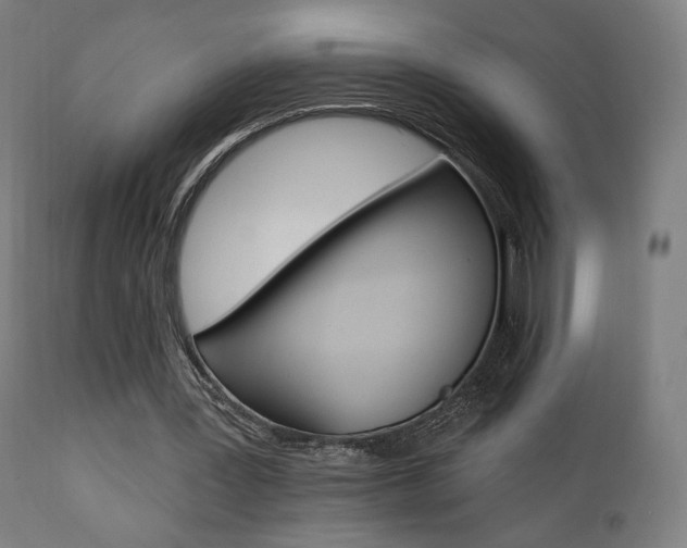 X0000112100387200908041117
