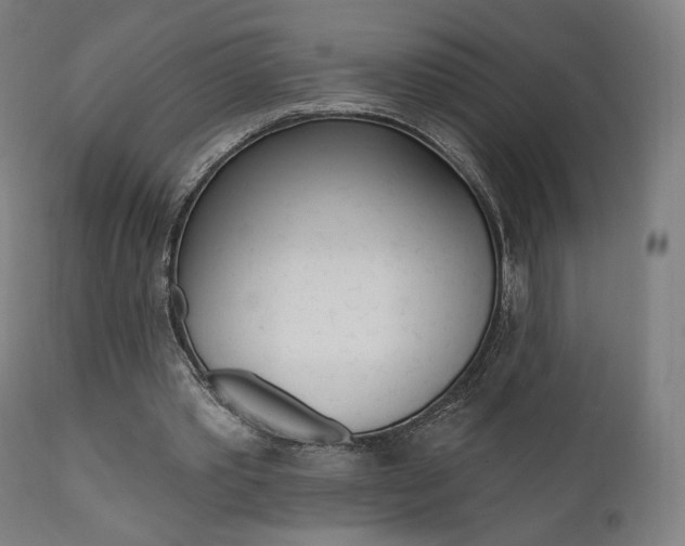 X0000112100389200908041117