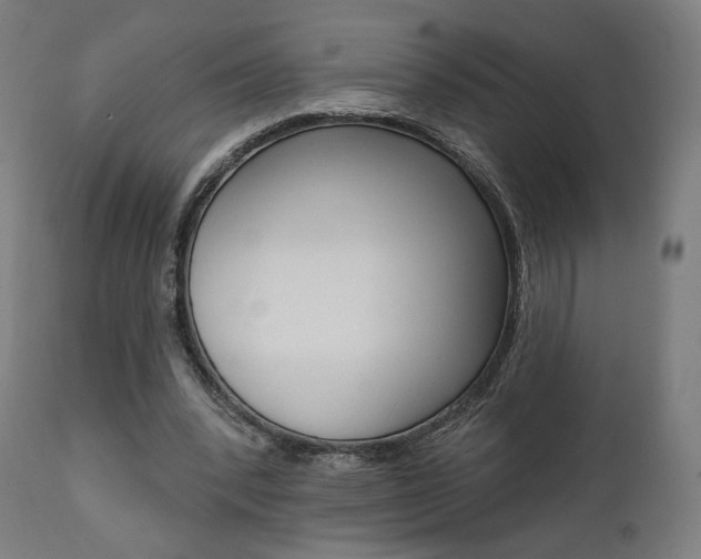 X0000112100392200908041117
