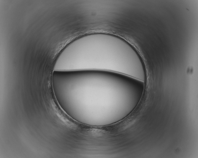 X0000112100393200908041117