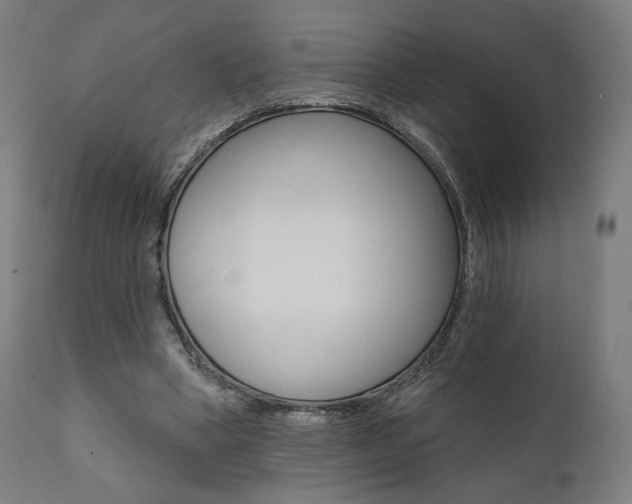 X0000112100394200908041117