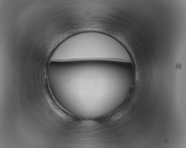 X0000112100397200908041117