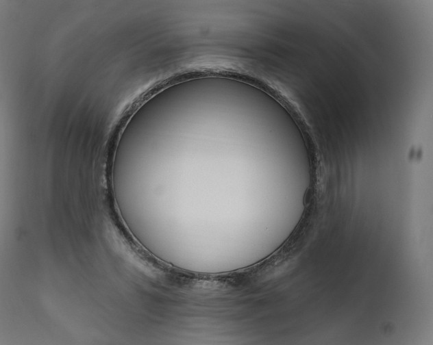 X0000112100399200908041117