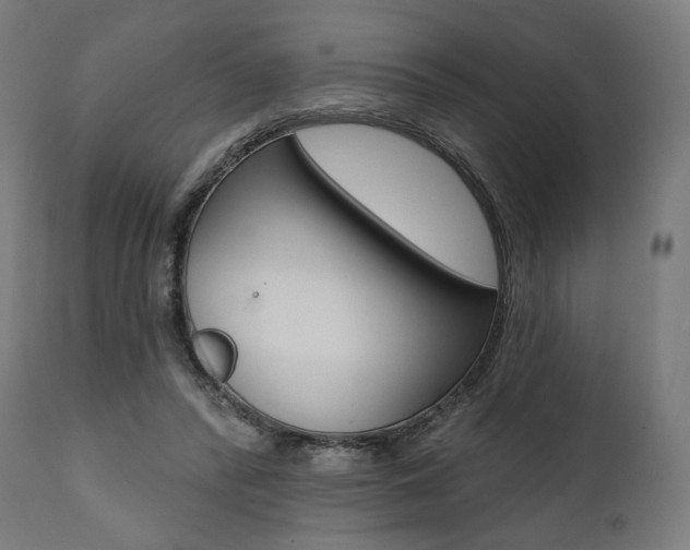 X0000112100400200908041117