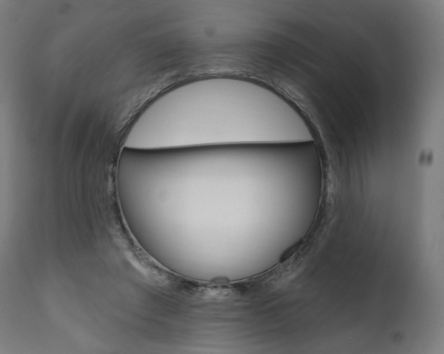 X0000112100401200908041117