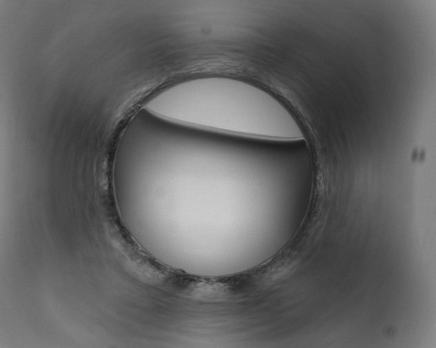 X0000112100403200908041117