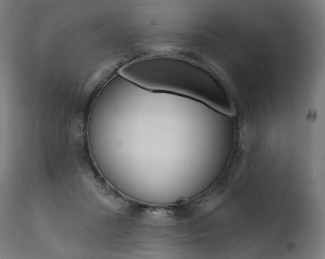 X0000112100407200908041117