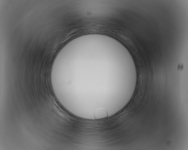 X0000112100409200908041117
