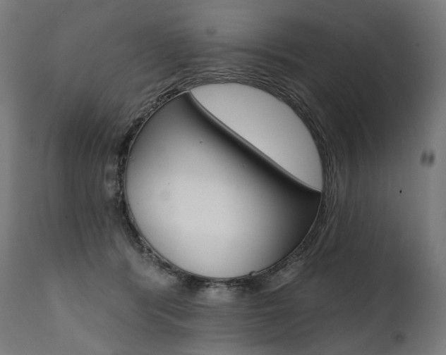 X0000112100416200908041117