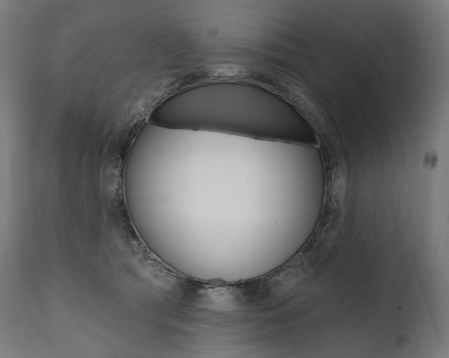 X0000112100417200908041117