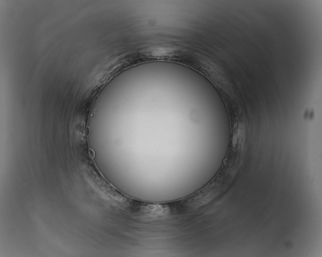 X0000112100421200908041117