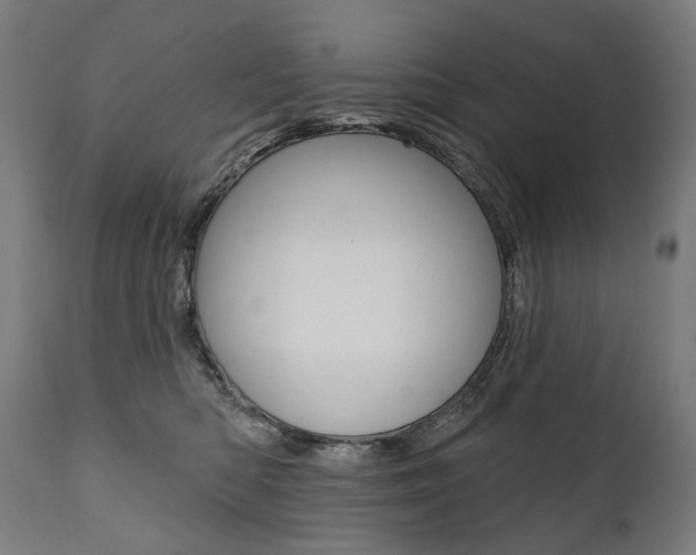 X0000112100422200908041117