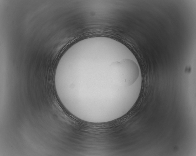 X0000112100423200908041117