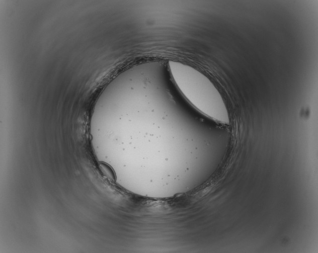 X0000112100424200908041117