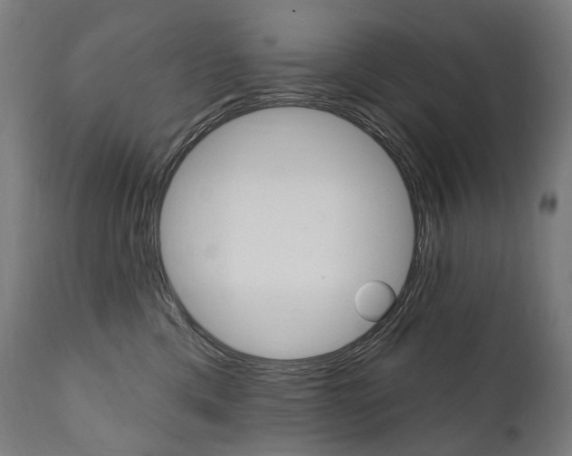 X0000112100425200908041117