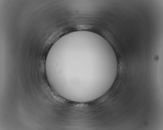 X0000112100426200908041117
