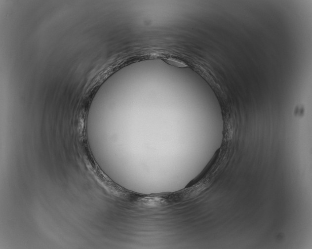 X0000112100427200908041117