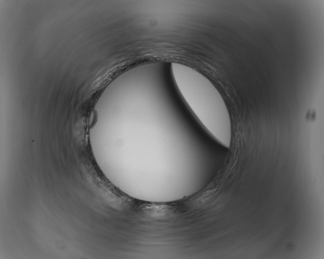 X0000112100428200908041117