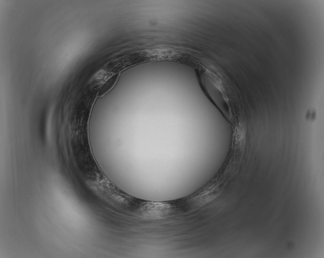 X0000112100429200908041117