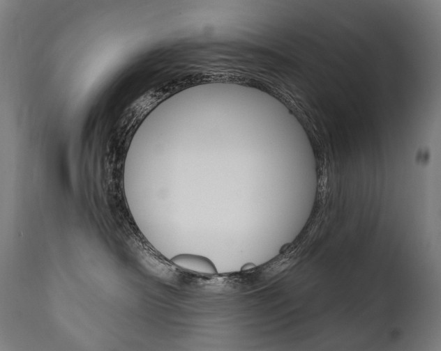 X0000112100430200908041117