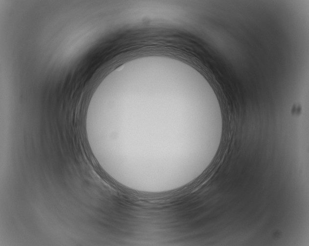 X0000112100431200908041117