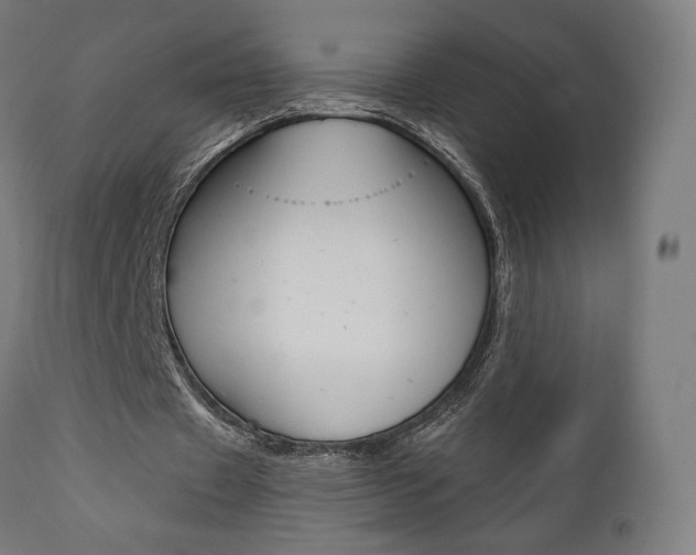 X0000112100433200908041116