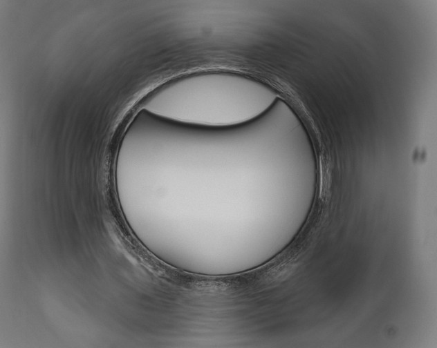 X0000112100435200908041116