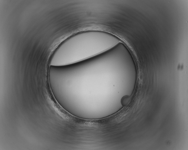 X0000112100437200908041116