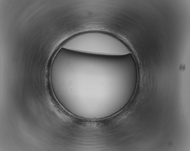 X0000112100439200908041116