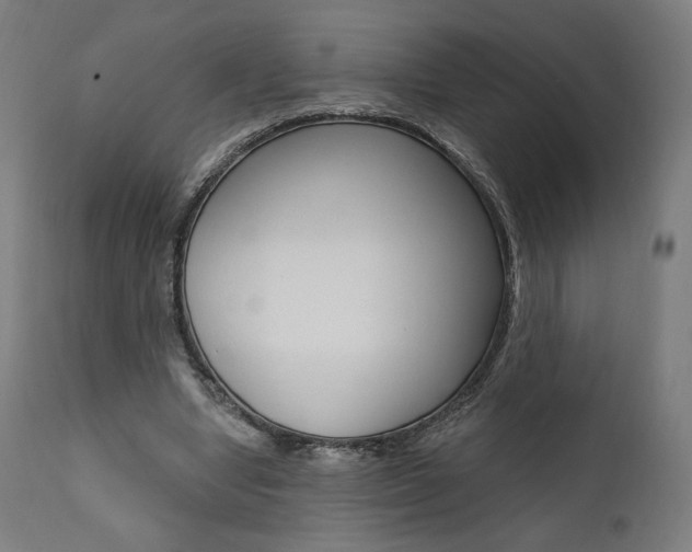X0000112100442200908041116