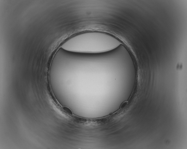 X0000112100445200908041116